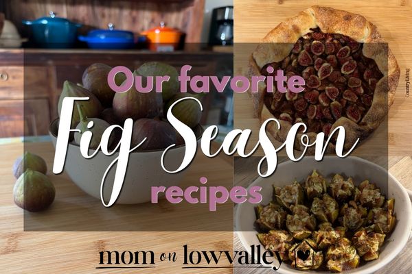 Fig Recipes {Our Summer favorites!)